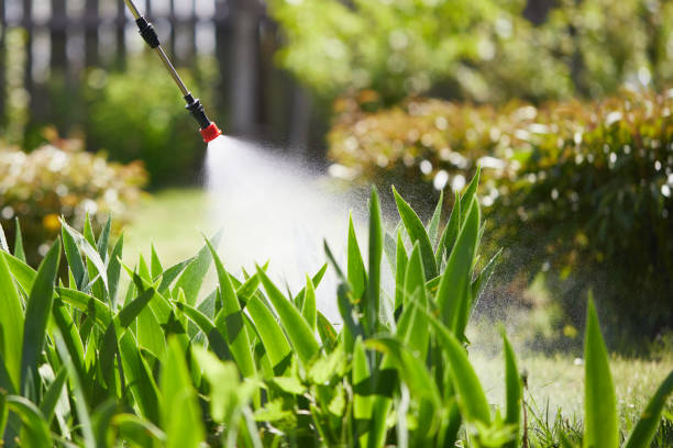 24/7 Emergency Cockroach Control experts in Morro Bay, CA